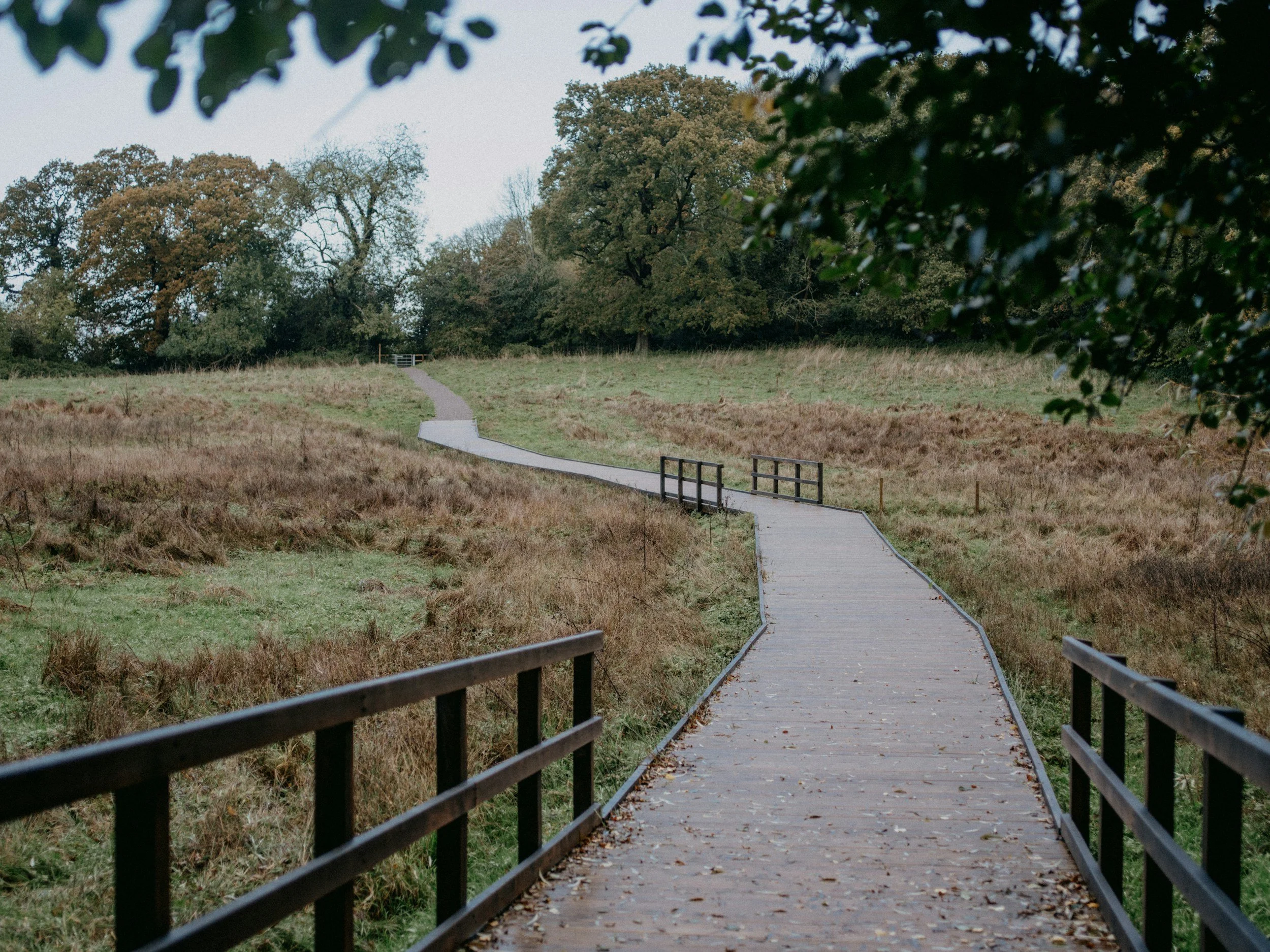 “The Pathway”