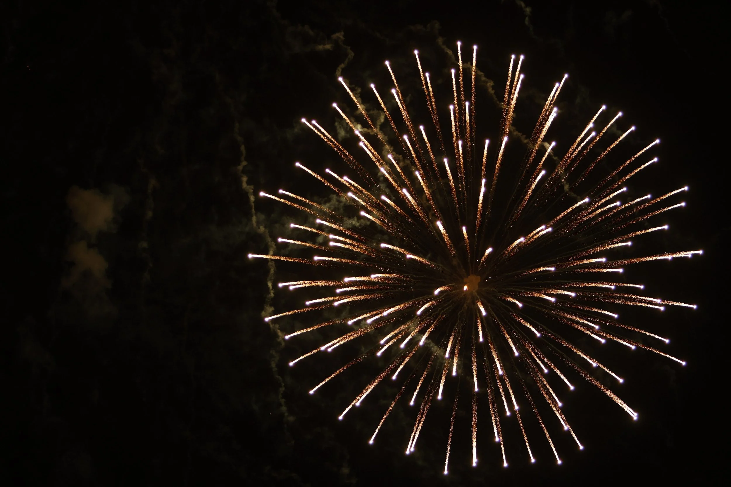 Fireworks exploding in the night sky with bright golden streaks radiating outward.