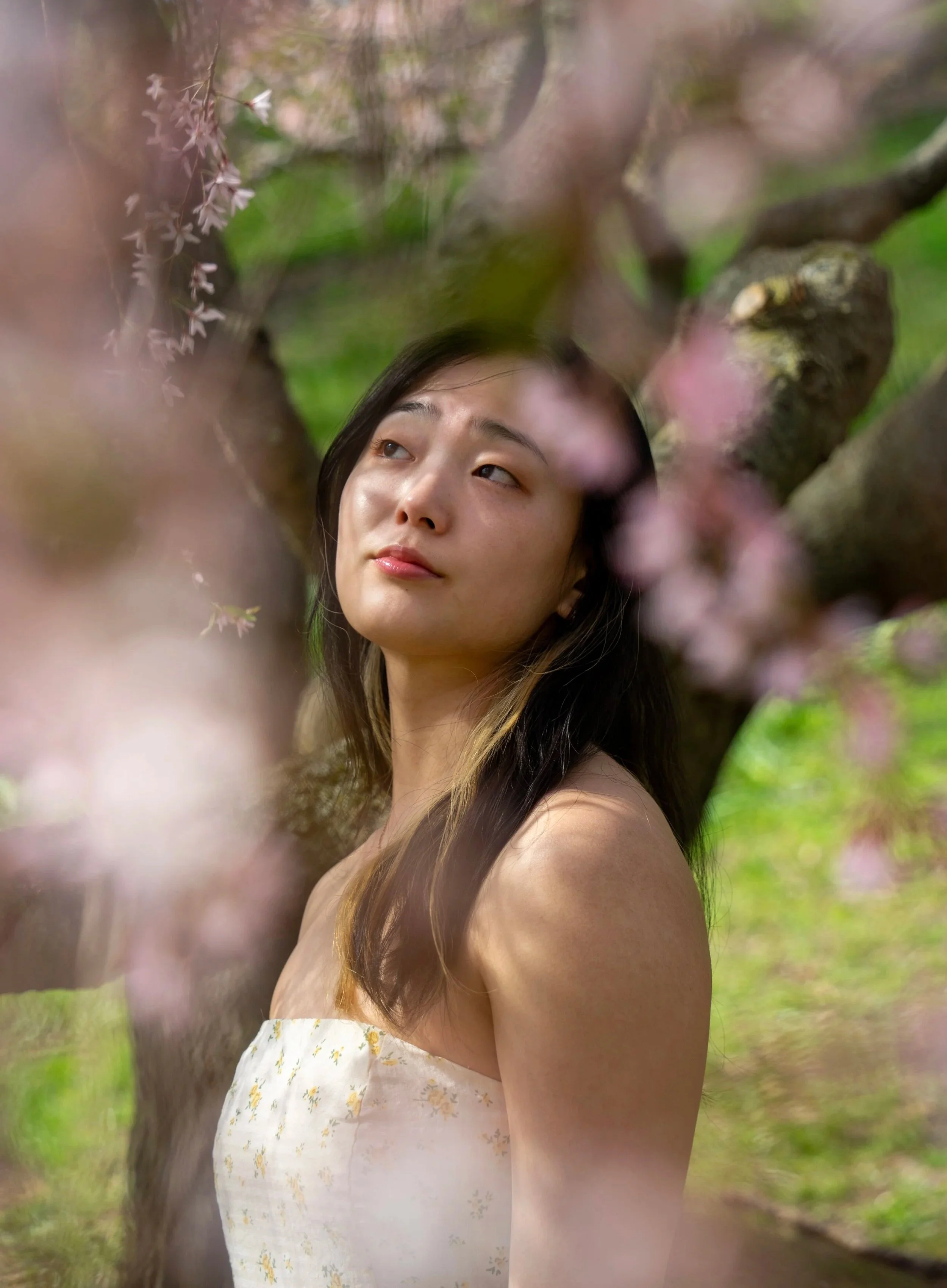 A woman with long brown hair looks up with a calm expression, framed by pink cherry blossoms and green foliage, in an outdoor setting.
