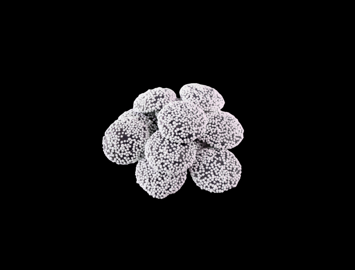 Screenshot 2026-03-16 at 11.15.01 PM.png