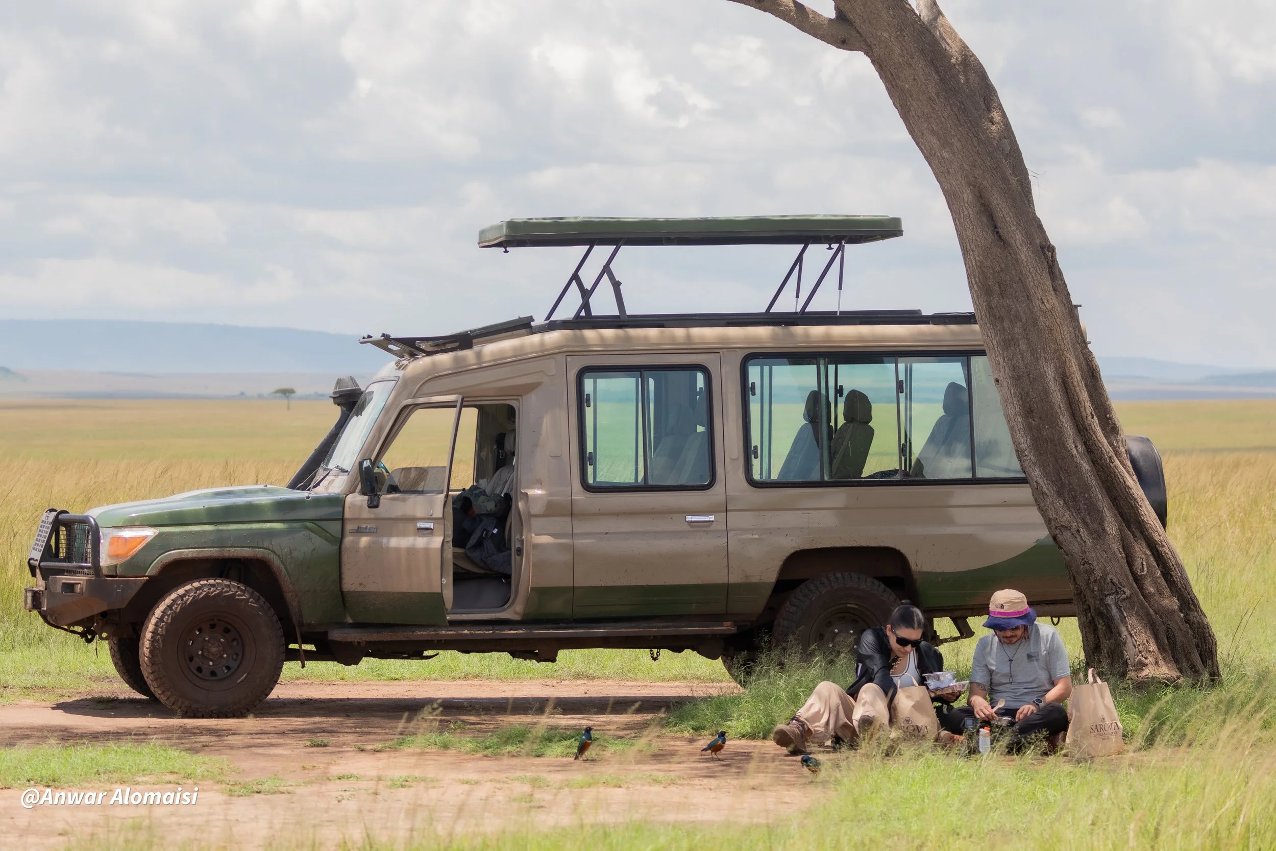Two people sitting under a large tree next to a safari vehicle with a roof attached, in an open grassy landscape with a few small birds on the ground.