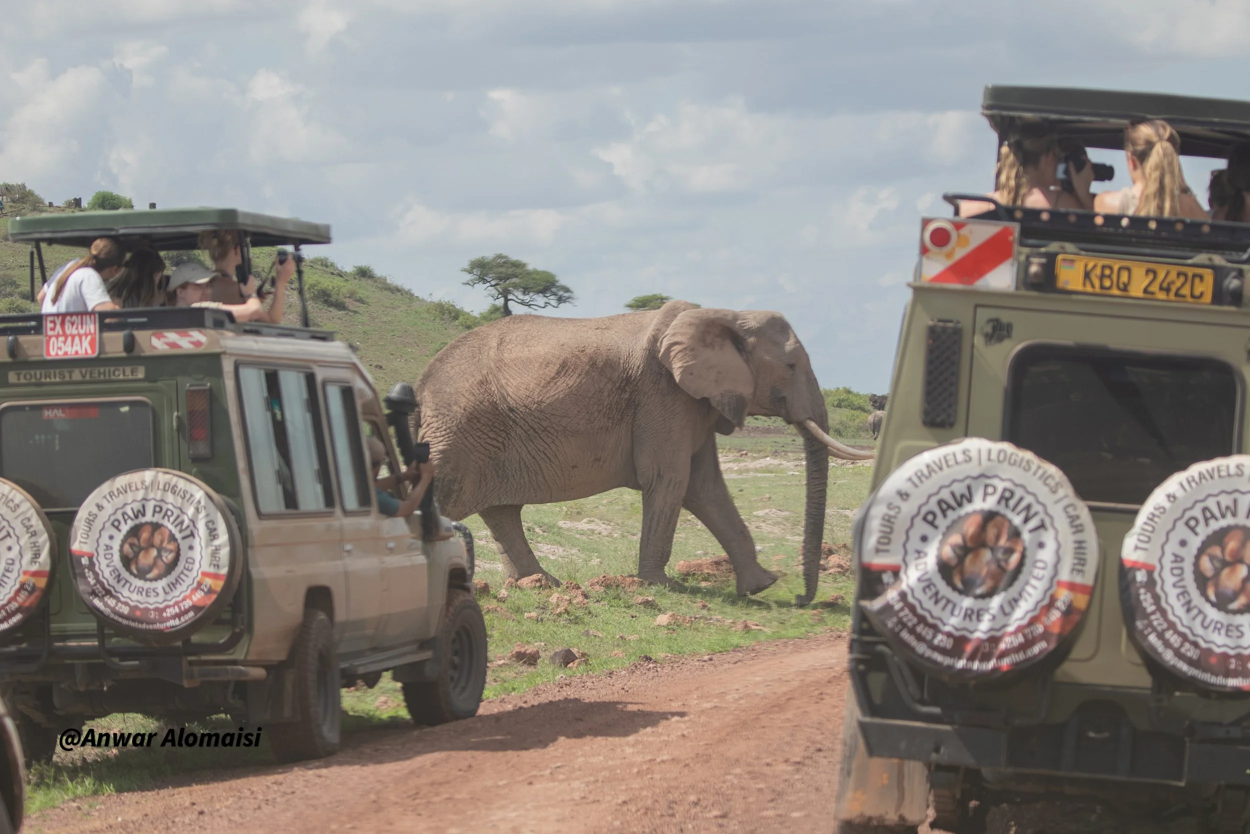 Tourists in safari vehicles observing an elephant on a dirt road in a grassy landscape under a partly cloudy sky.
