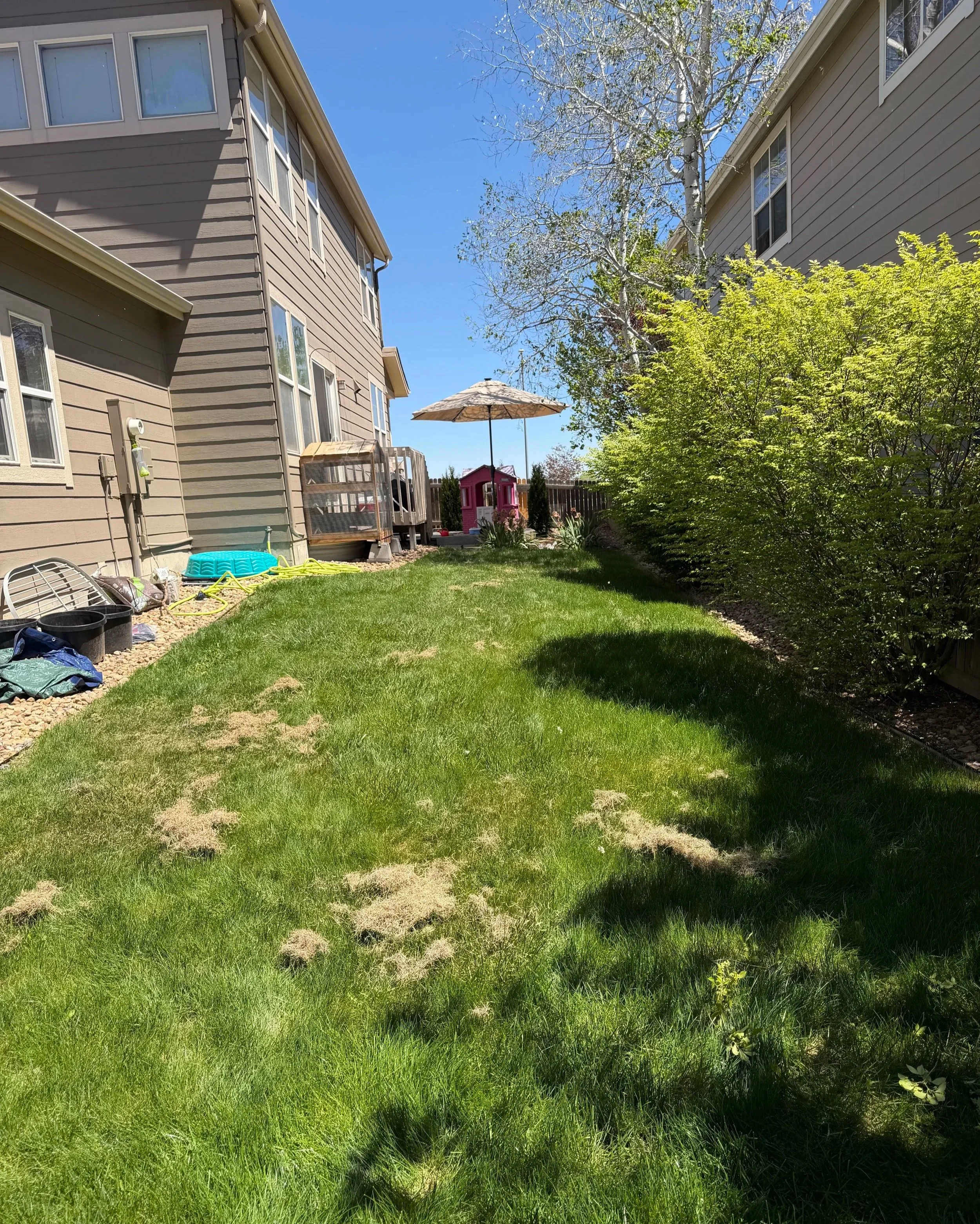 Overgrown grass was mowed and cleaned up for a sharper, more maintained backyard appearance.