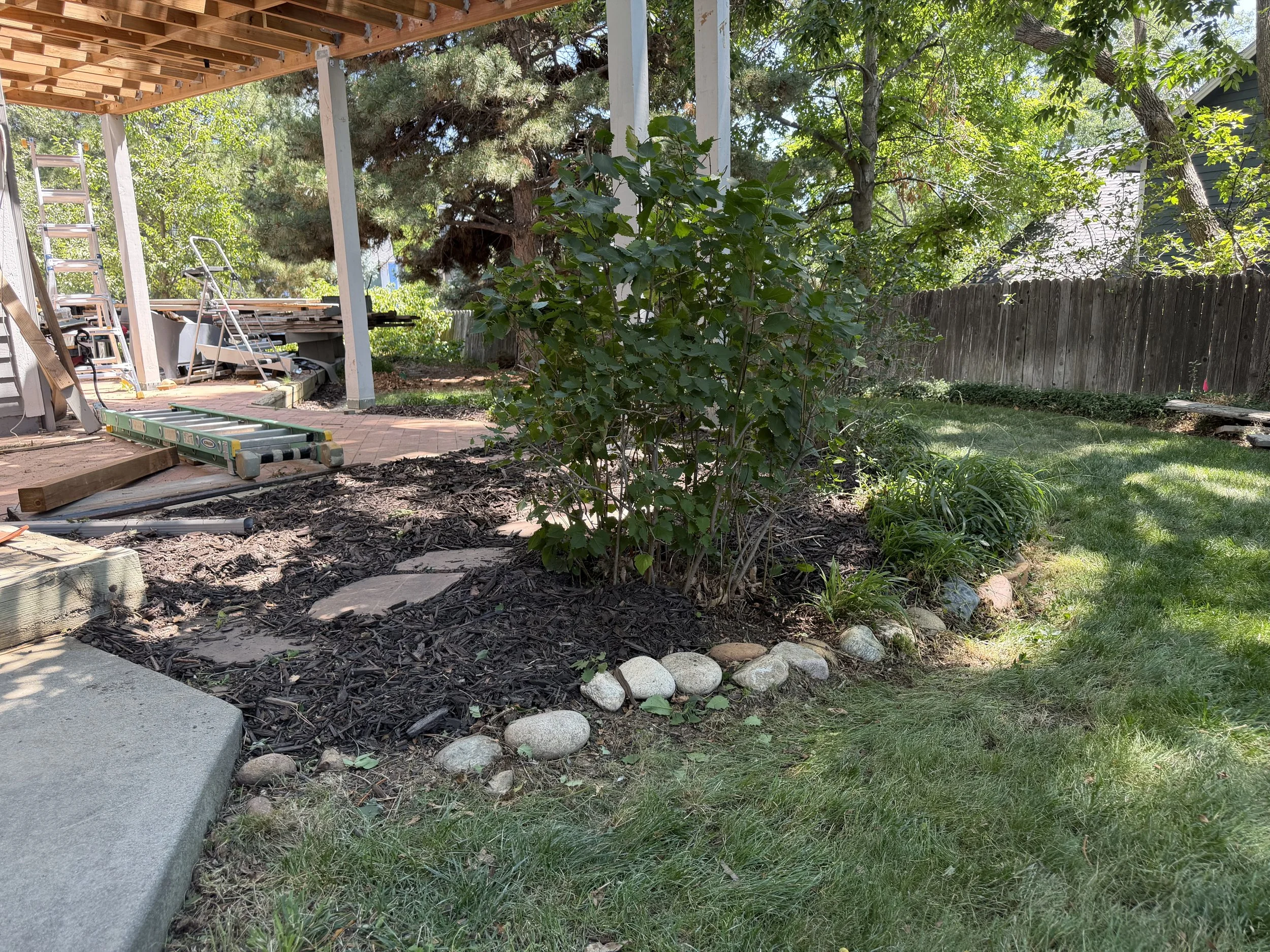After: The same bed after weeds and excess growth were removed, the shrub base was cleared, and fresh mulch was installed for a cleaner, more defined finish.