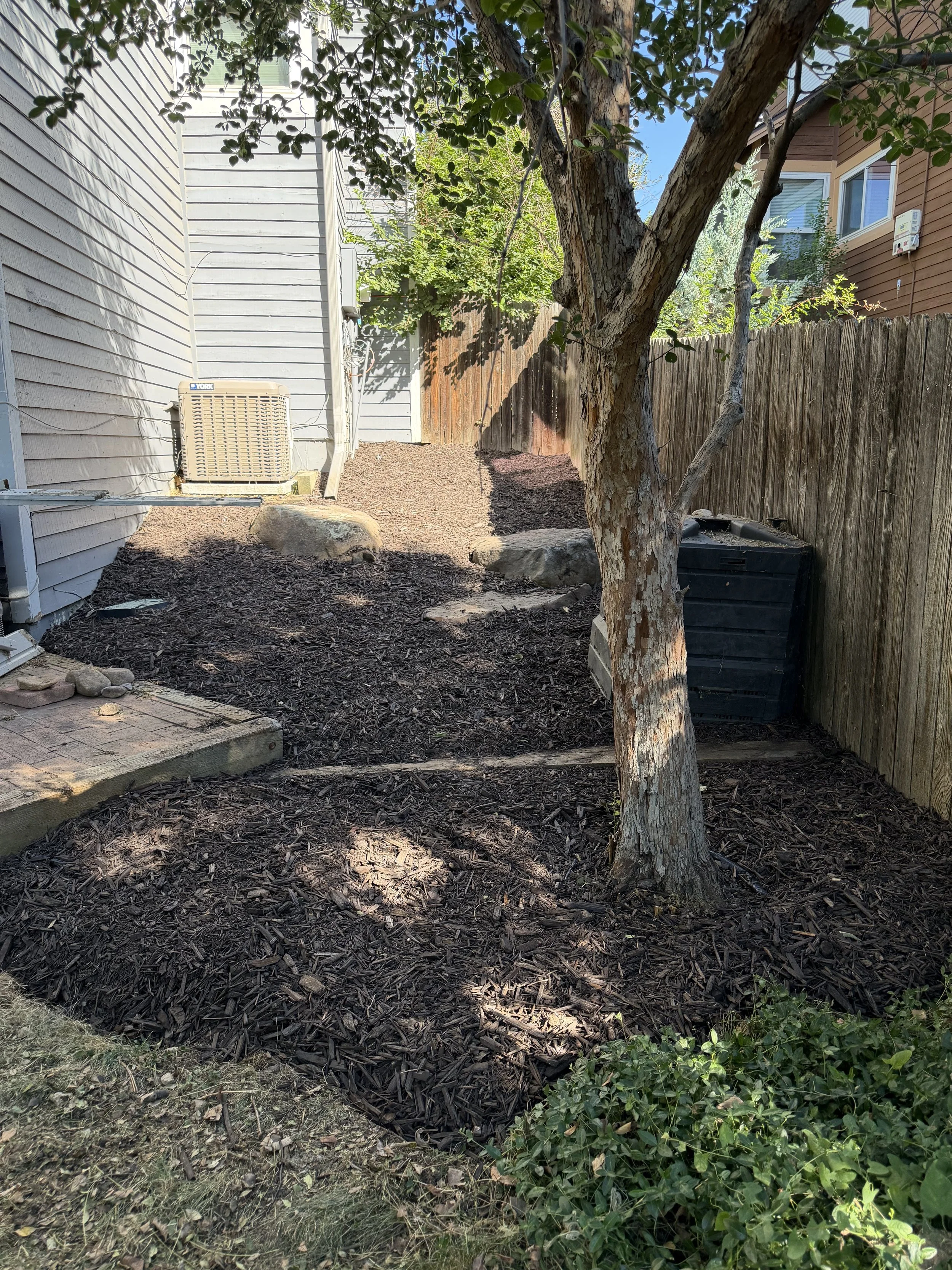 After: The overgrowth was removed and the area was cleaned to create a more open, manageable landscape.