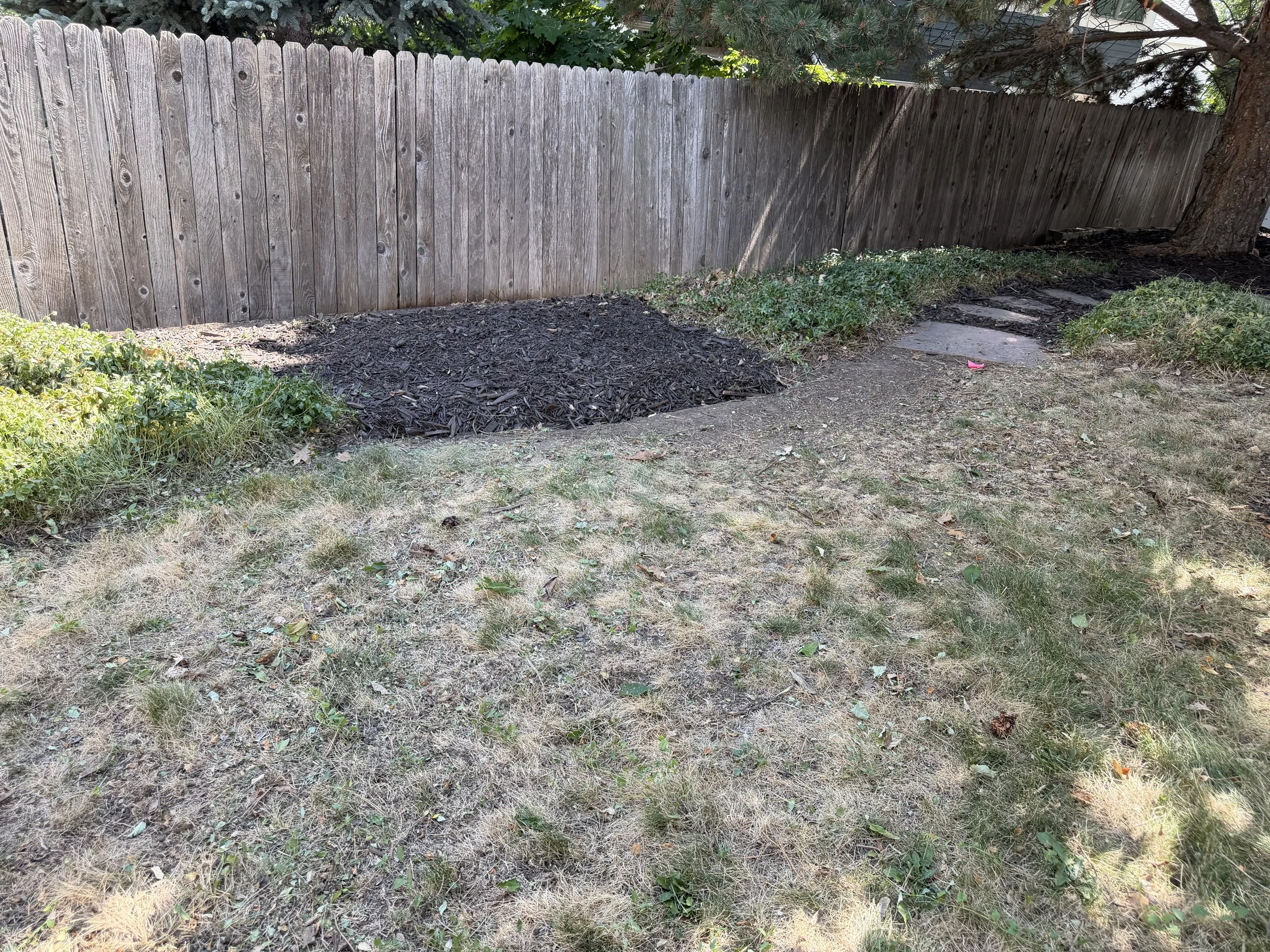 After: Overgrown shrubs were removed to reclaim the lawn, reopen the pathway, and create a clean mulched planting area.