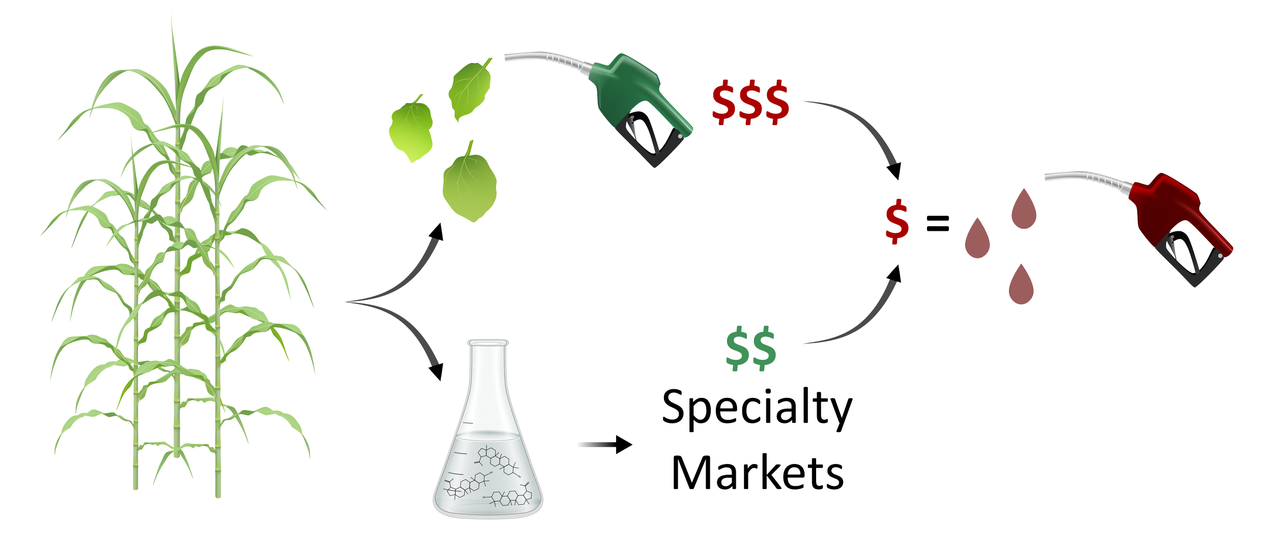 Biofuel costs offset (PhD project)