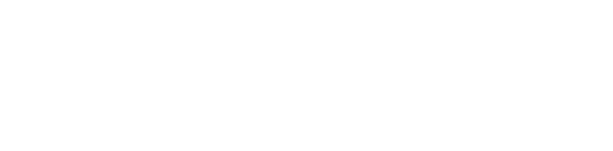 ActionCOACH Chile: Consultoría y coaching para la profesionalización de empresas familiares y PYMES.