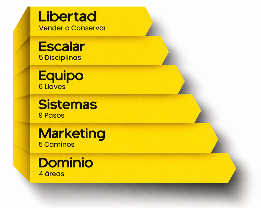 Metodología de los 6 Pasos de ActionCOACH para profesionalizar PYMES en Chile.