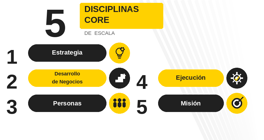 Las 5 disciplinas de ejecución empresarial: Estrategia, desarrollo de negocios y misión corporativa en Chile.