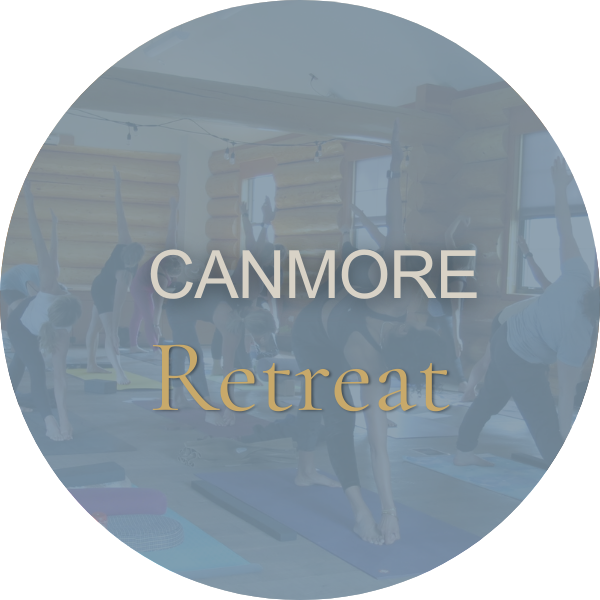 People participating in a yoga retreat in a log cabin studio, performing yoga poses on mats with windows and natural light.