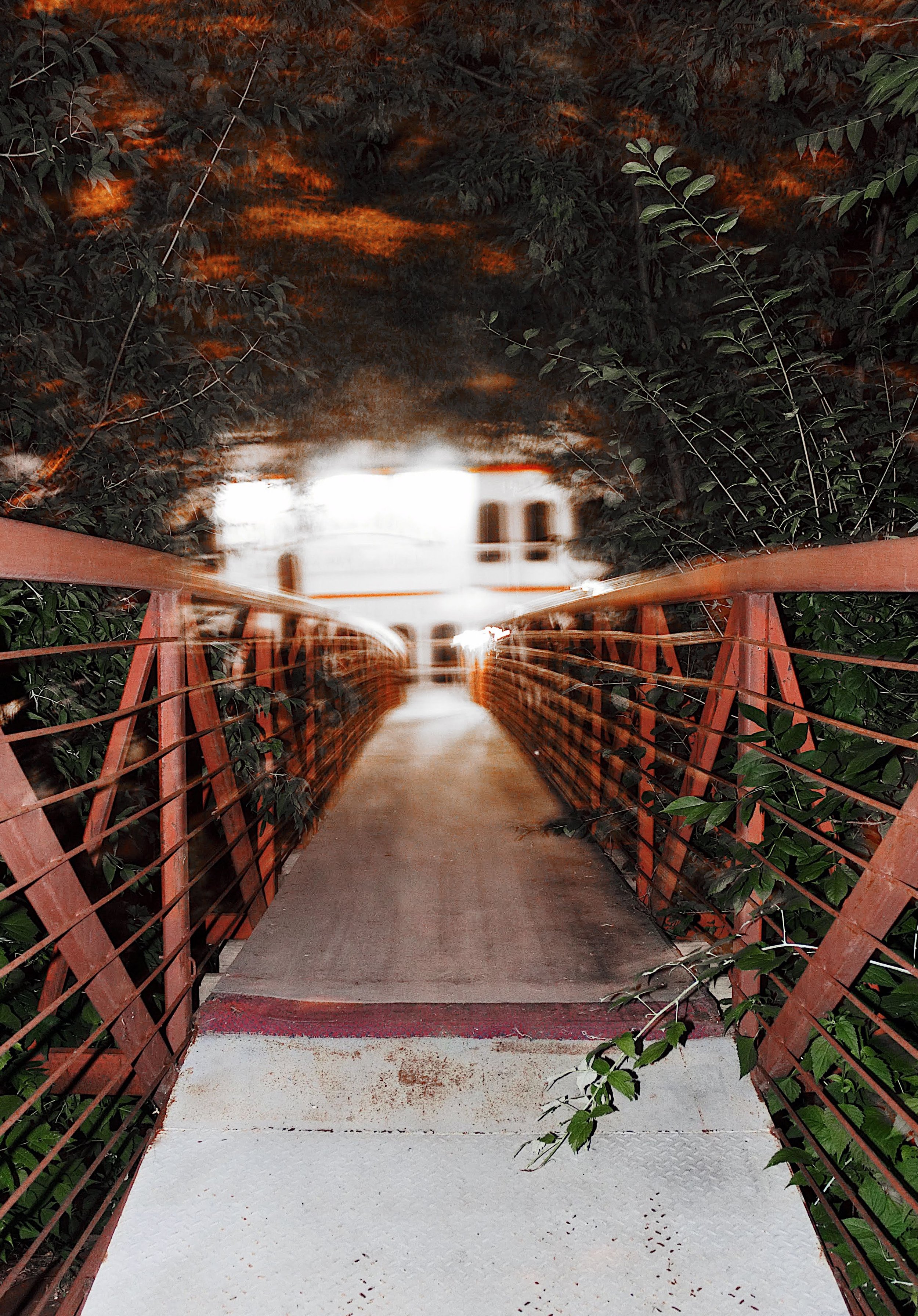 A small pedestrian bridge with orange metal railings leading into a misty, forested area, with a white building in the background.