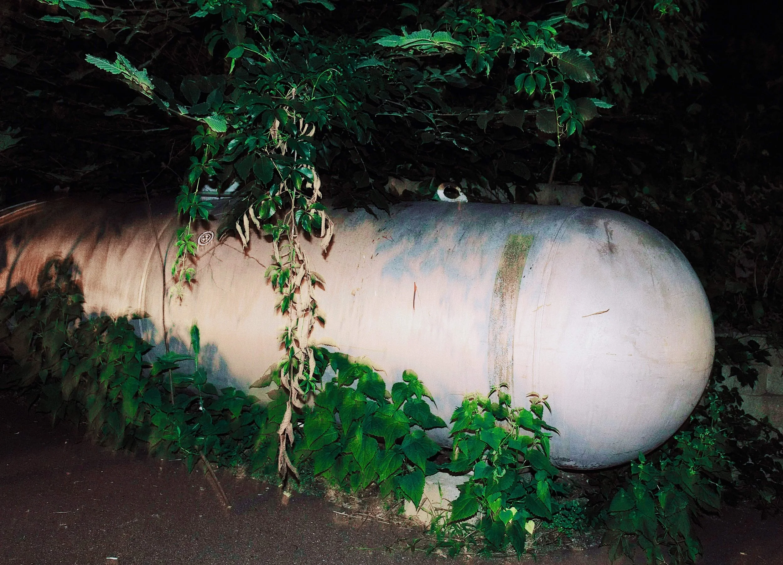 Horizontal propane tank partially covered by overgrown green ivy plants in a dark outdoor setting.