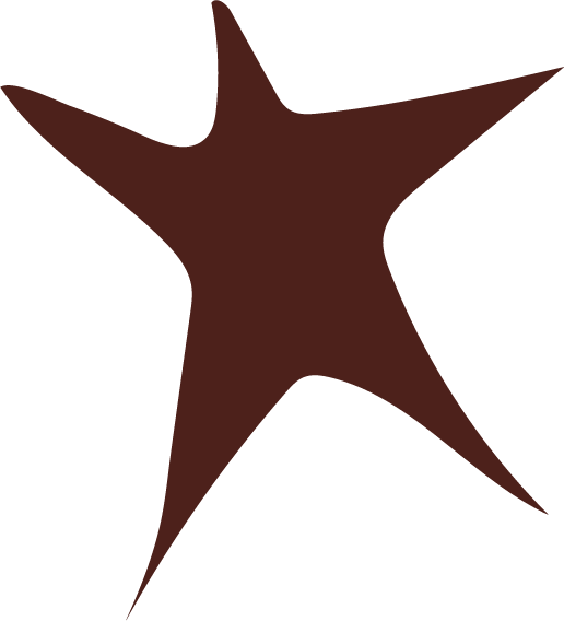 Simple brown star-shaped object with irregular points.