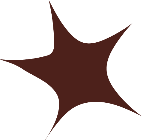 A brown star-shaped object with five points on a black background.
