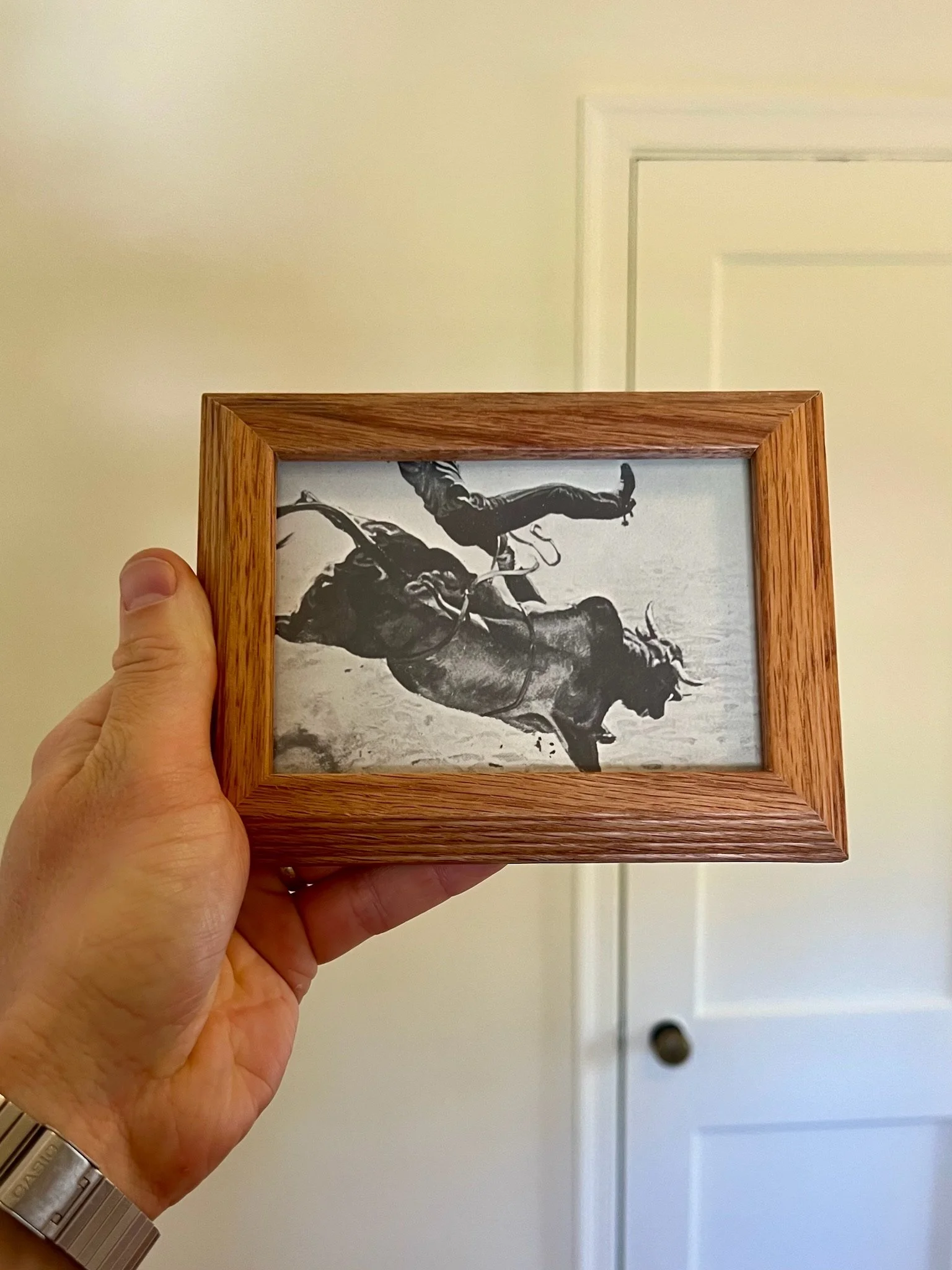 A person holding a framed black and white photo of a rodeo cowboy riding a bucking bull