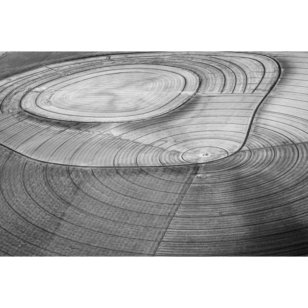 Abstract Farm