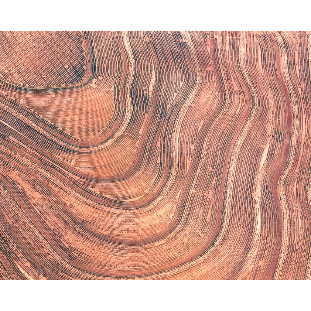 Red Clay Field