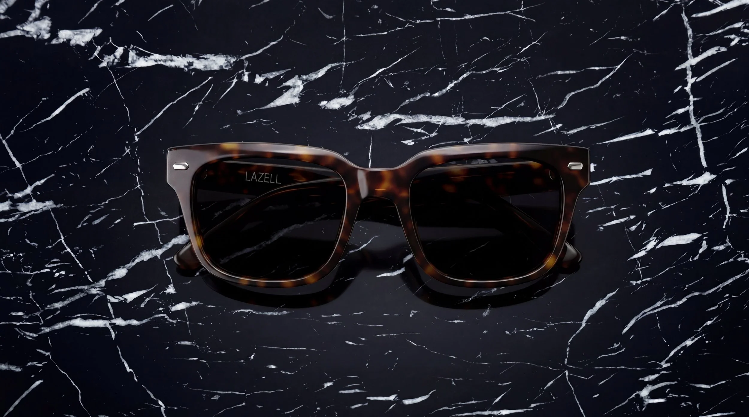 海龟 P 折叠.jpeg