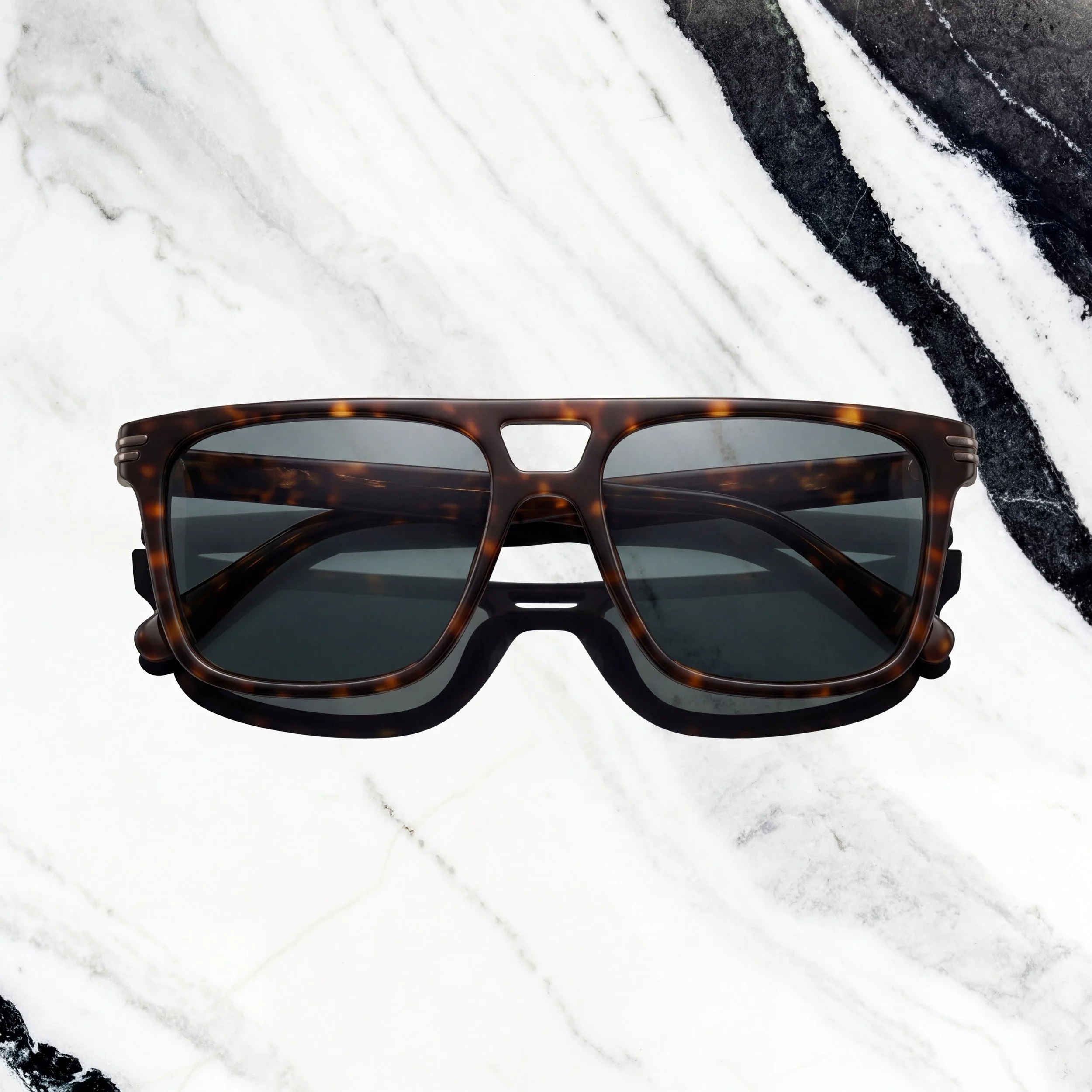 T 海龟 折叠.jpeg