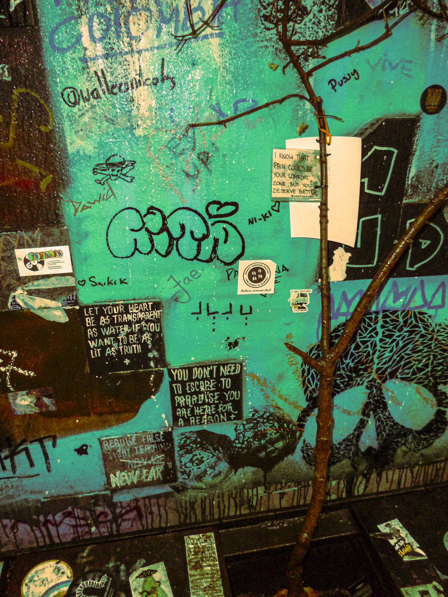 Graffiti-covered wall featuring various stickers, drawings, and affirmations, with a small leafless tree in front.
