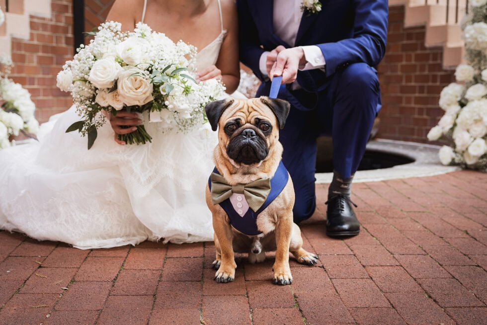 IvyQuartzPhotography_AlluraJamesWedding_FamilyPortraits_0422-980x654.jpg