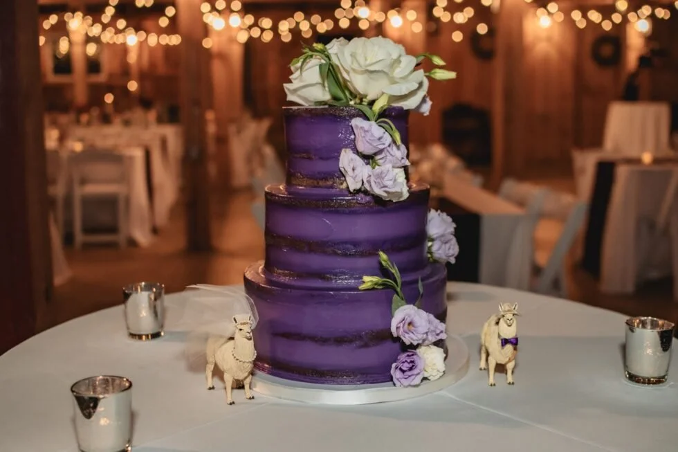 NicoleJames_SH_Wedding-740-small-980x653.jpg
