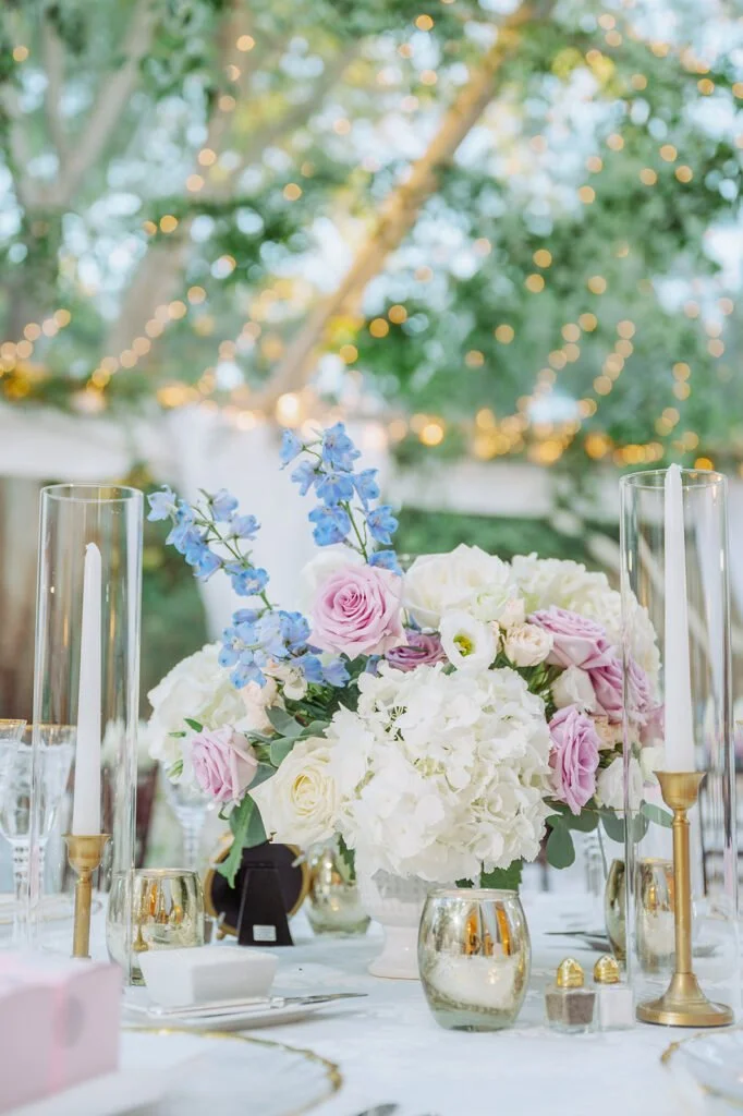 Dumbarton-Oaks-Wedding-18.35.50-682x1024.jpg