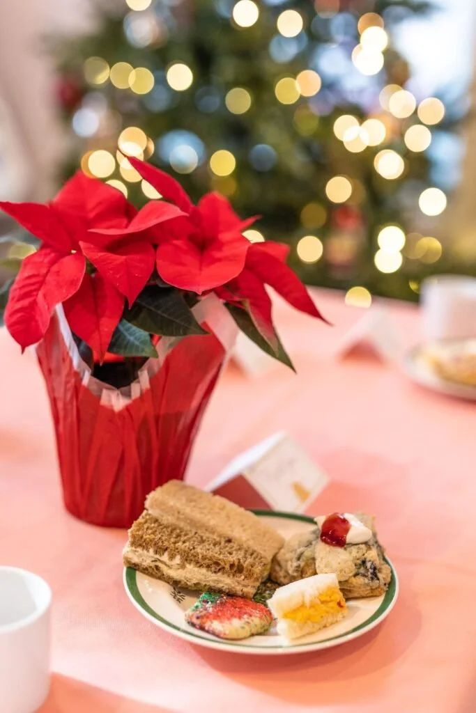 Tea-Party-22-8-small-683x1024.jpg