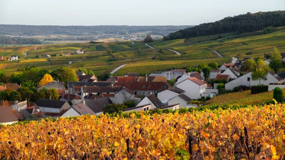 France-980x551.jpeg