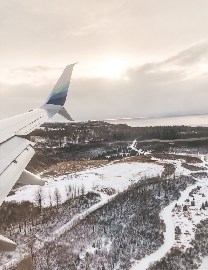 Winter-Plane-787x1024.jpg