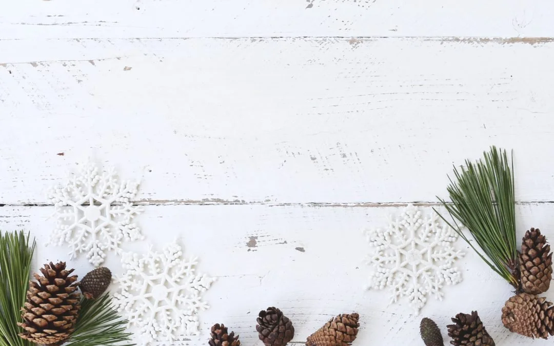 christmas-conifer-cone-decoration-639110-1080x675.jpg