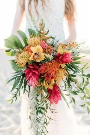 Picture1 (1).jpg