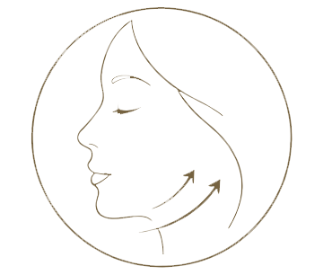 A line drawing of a woman's face in profile with arrows indicating facial massage or lifting directions.