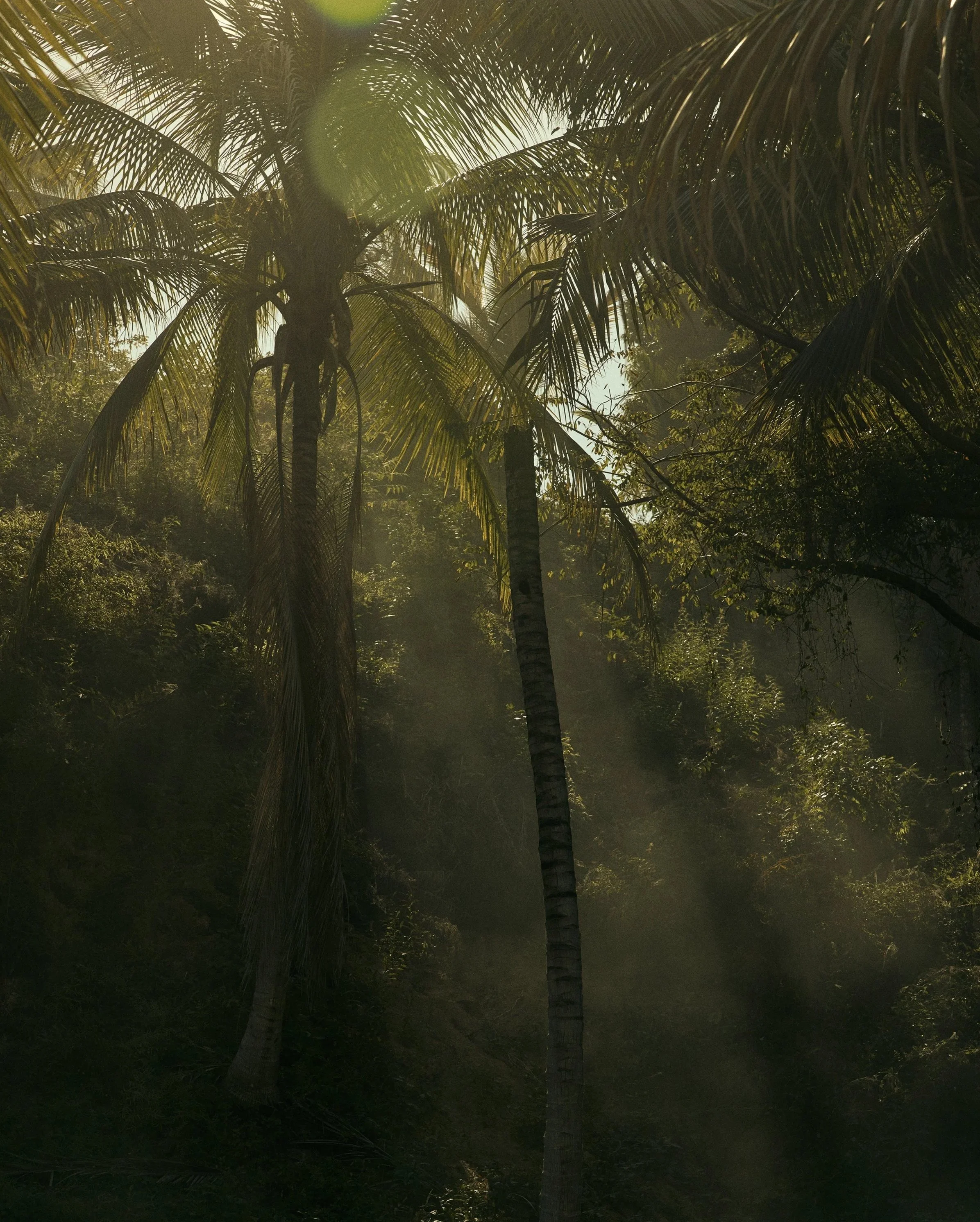 Jungle+Book.jpg