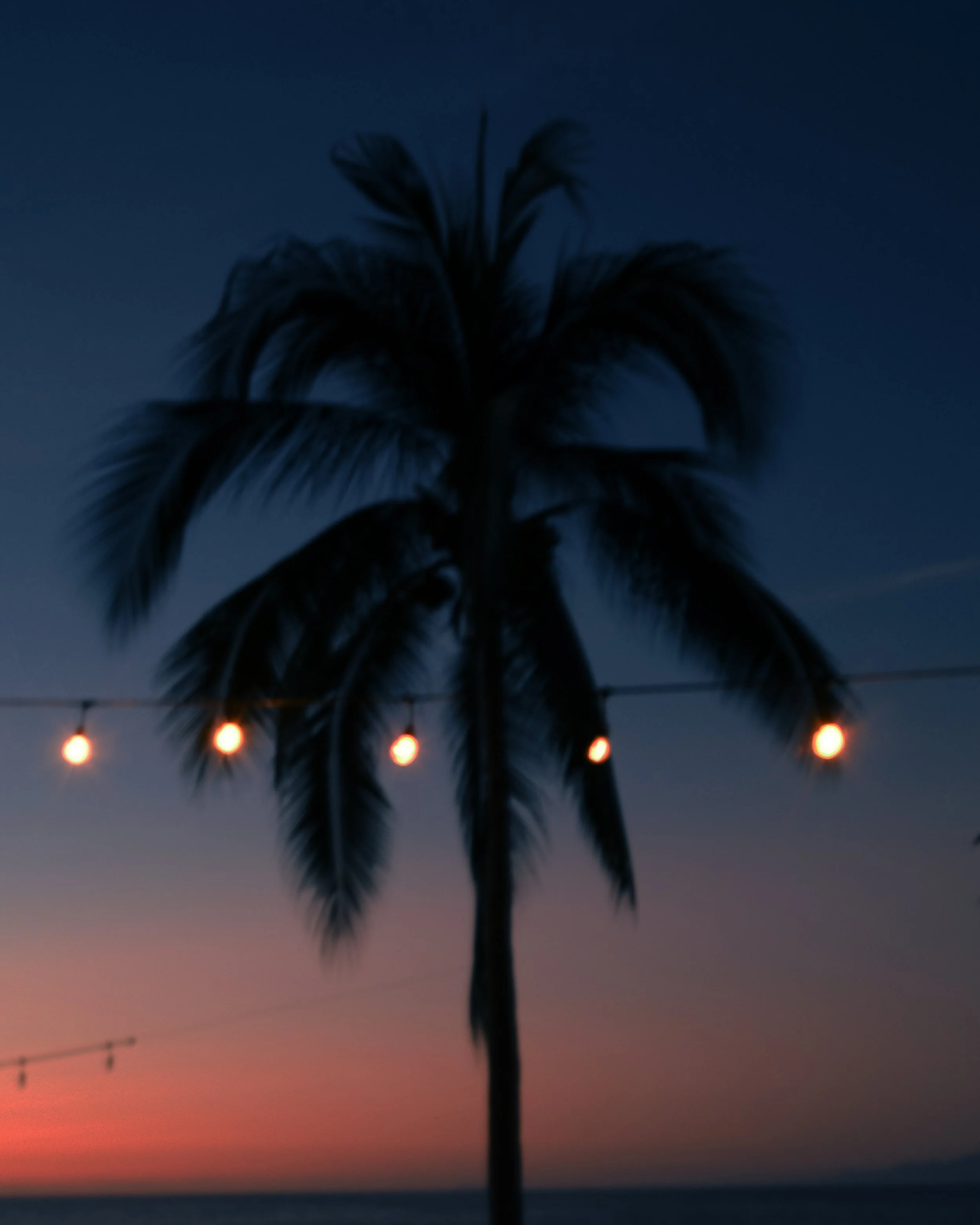 DSCF1318.jpg