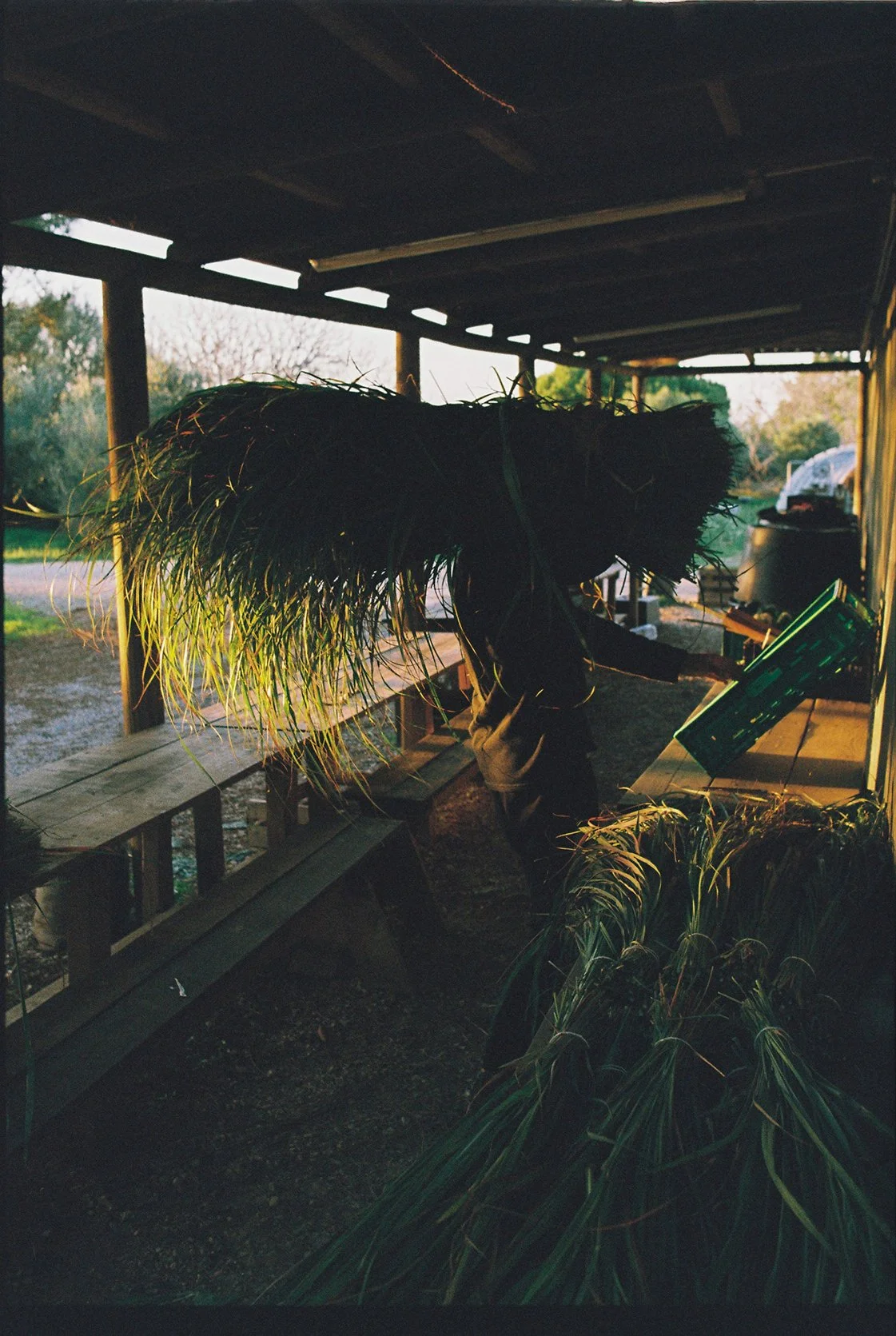 Dan Hack-49.jpg