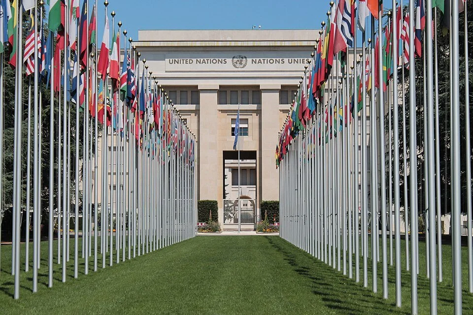 Meet the Newest Candidates for UN Secretary General