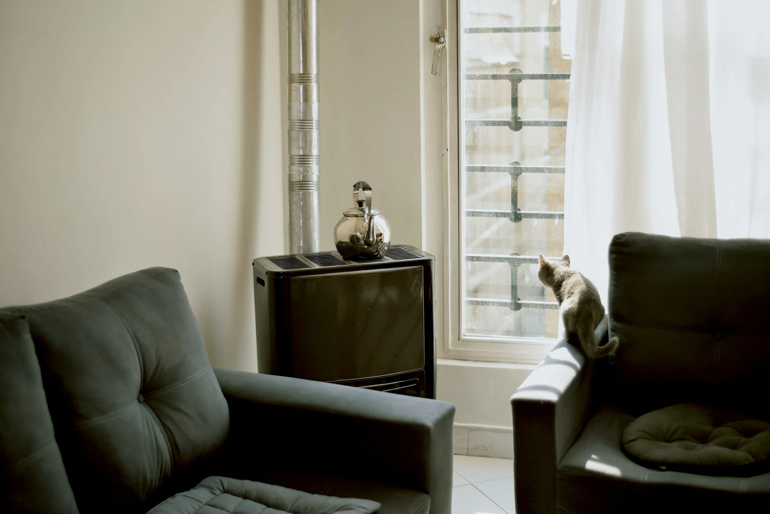 A living room with two dark gray armchairs, a small black stove with a kettle on top, a metal chimney pipe, a window with iron bars, a curtain, and a gray cat sitting on the armrest looking outside.
