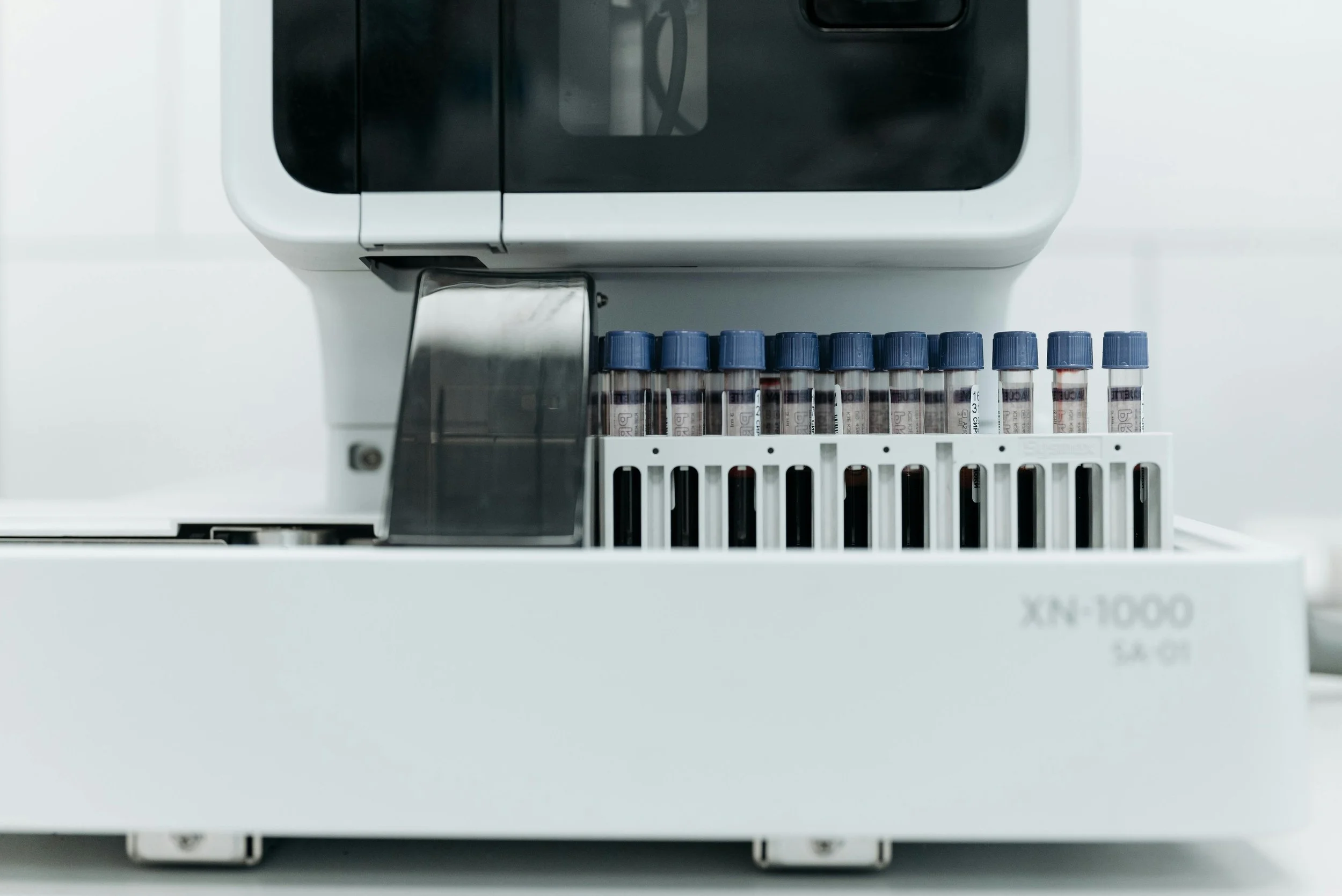 What Should a Longevity Doctor Test For?