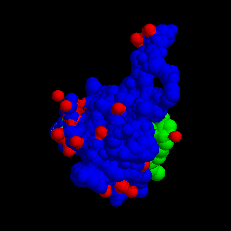 IGF-1, Mitochondria, and the Real Longevity Conversation