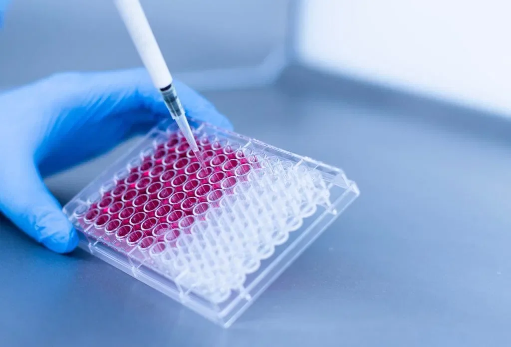Are Mesenchymal Stem Cells Safe? What the Latest Human Research Tells Us