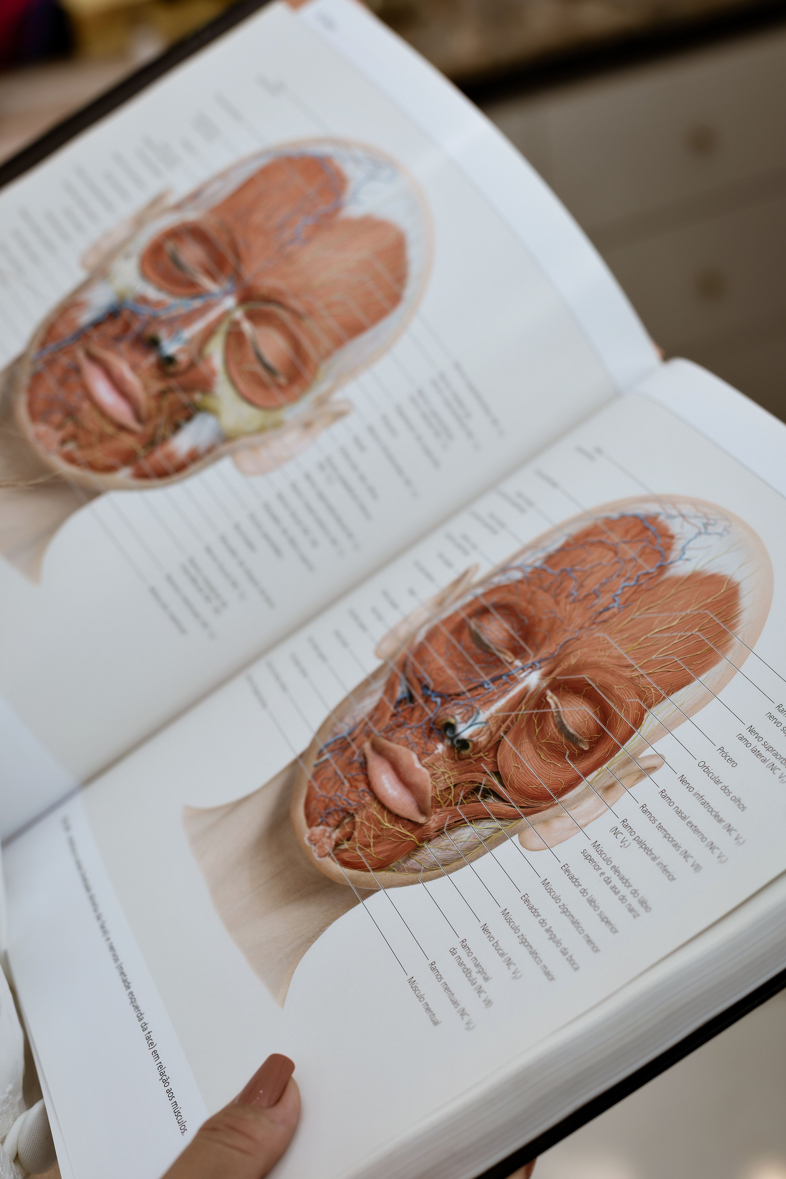 The Vagus Nerve: The Longevity Superhighway