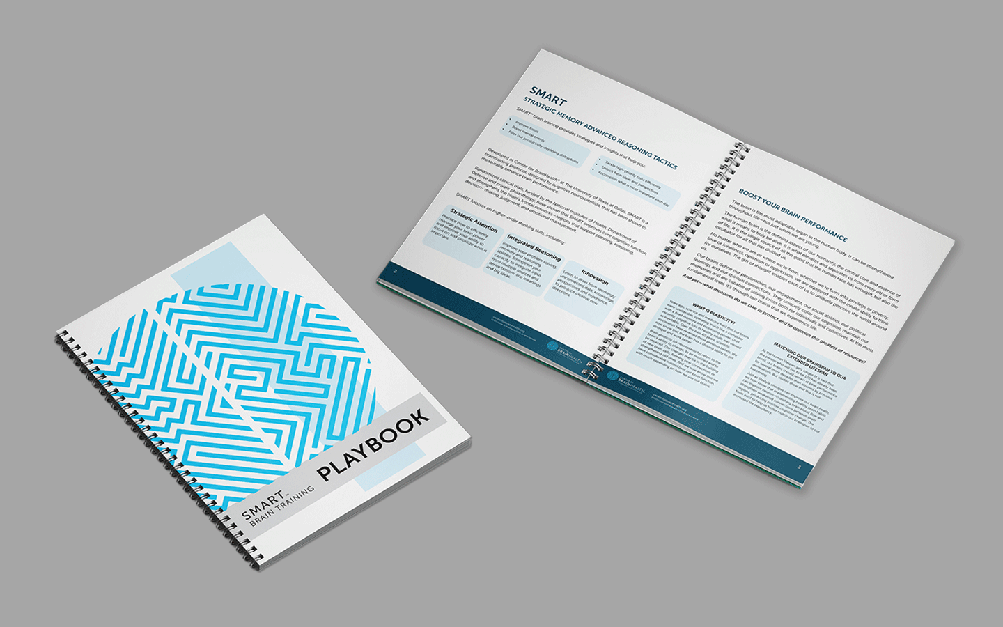 Smart Training Playbook.png