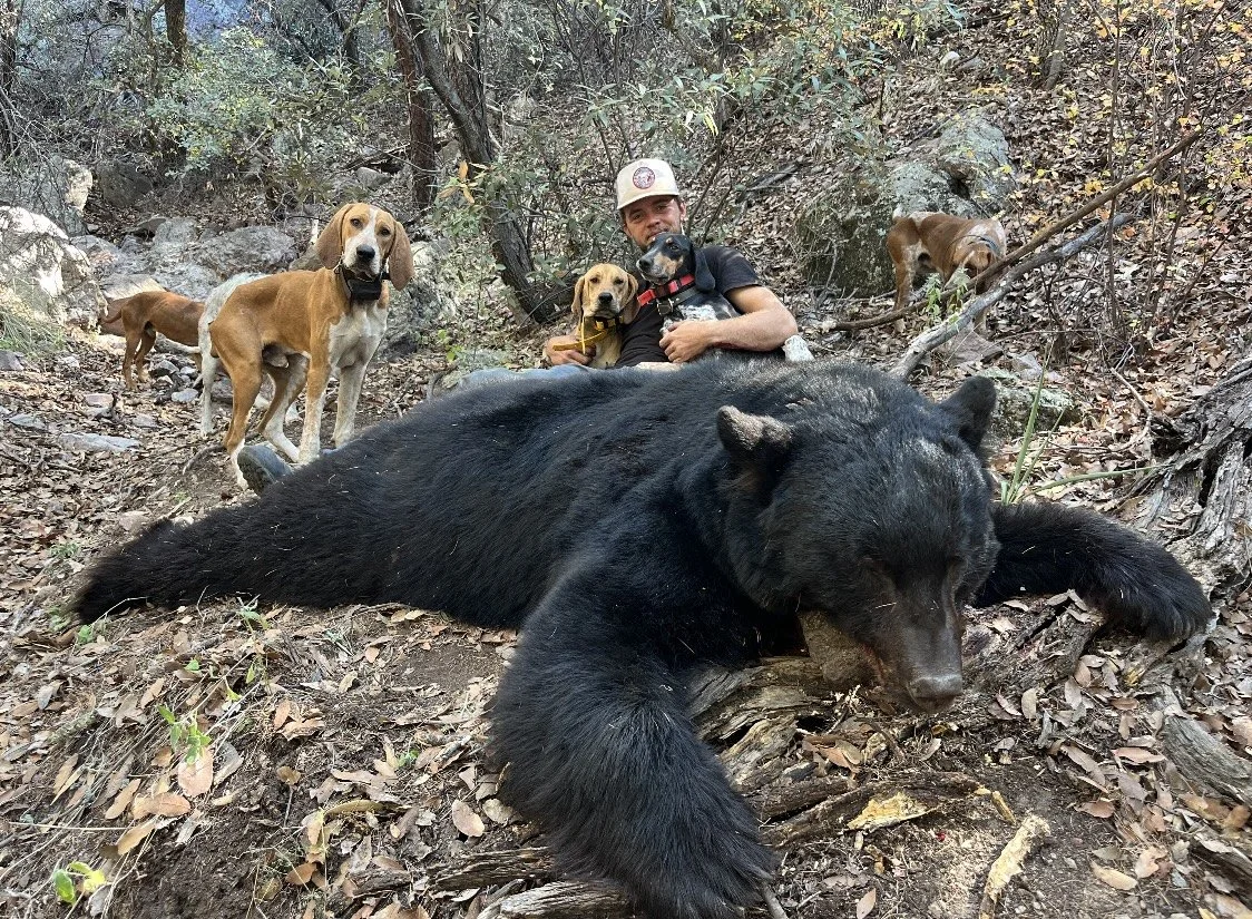 Fully Outfitted Bear Hunts (with Hounds)