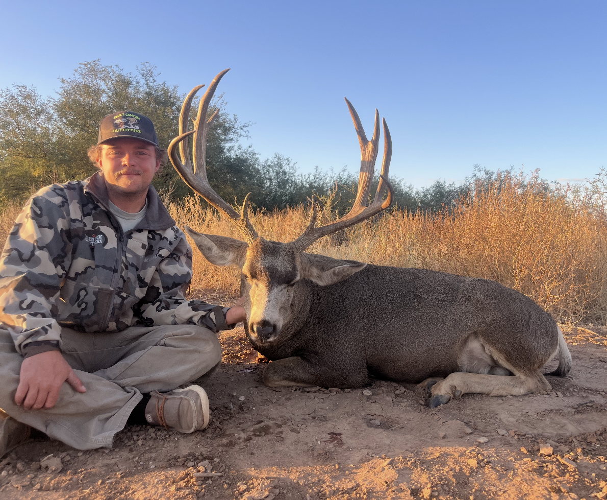 Fully Outfitted Deer (Starting at $3,500)