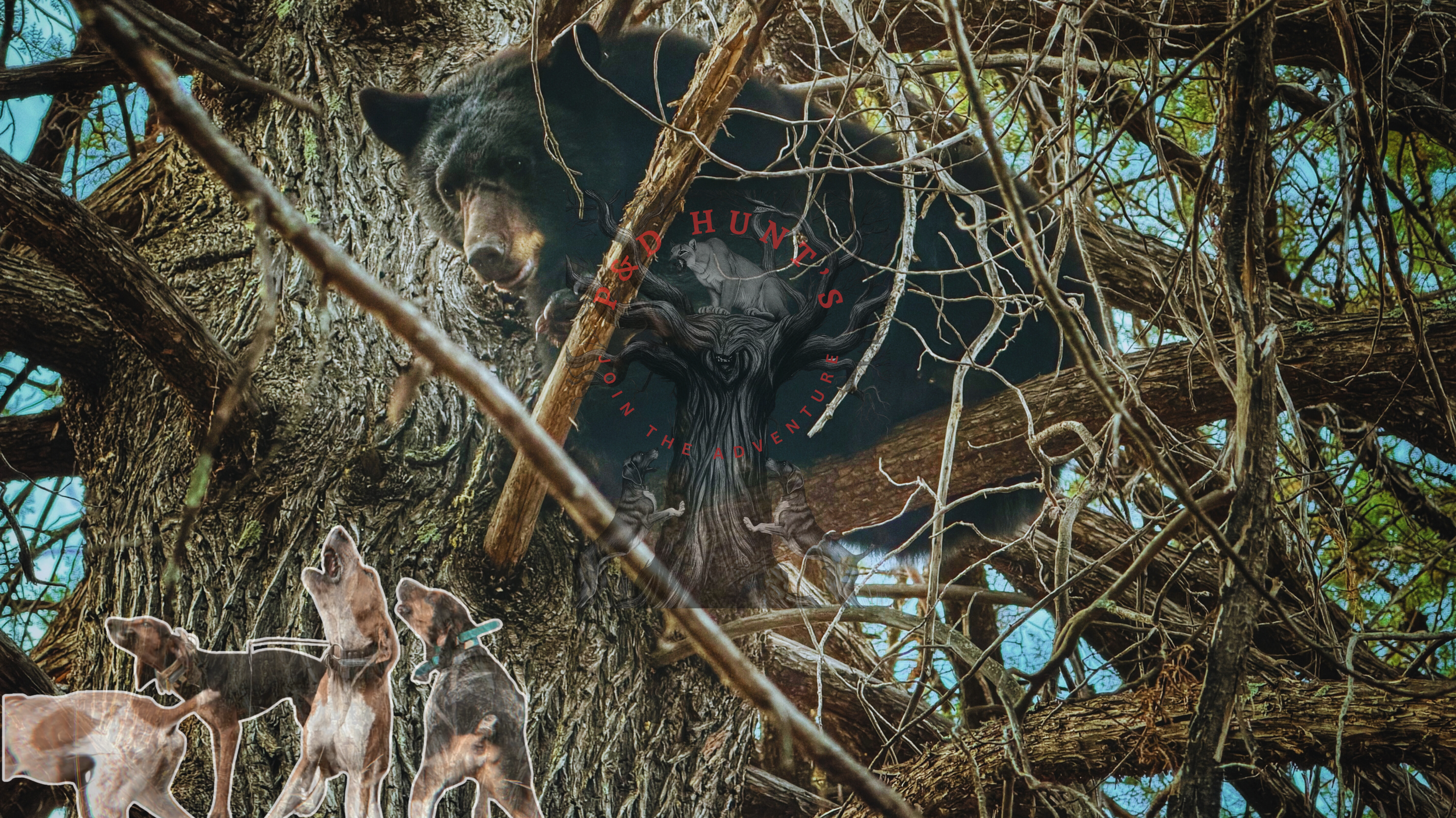 A black bear in a tree, surrounded by branches and leaves, with several paper cut-out puppies at the bottom left and a circular logo in the middle of the image reading "P&D Hunt" and "In the Adventure."