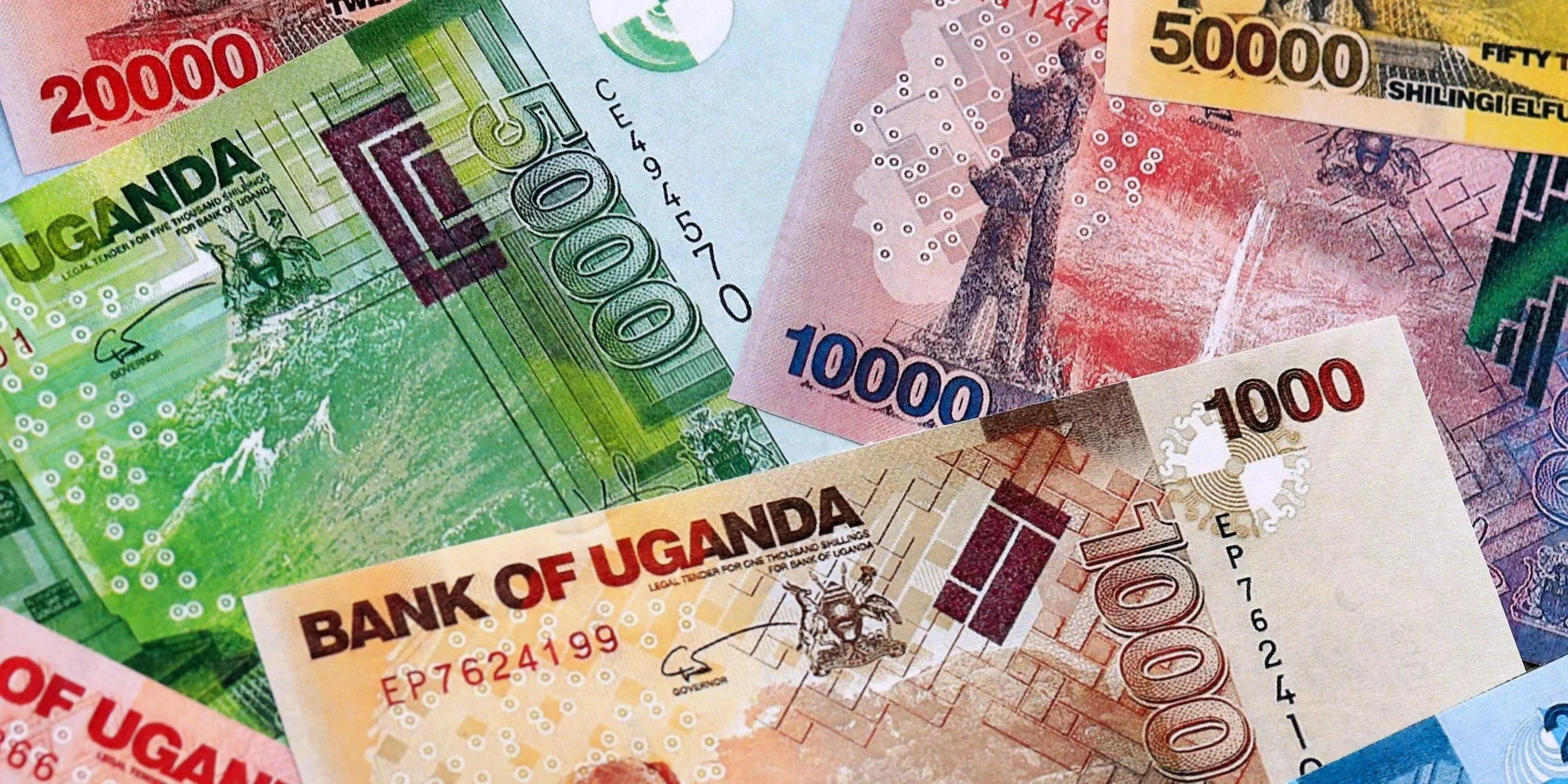 Currency Risk-Sharing Facility