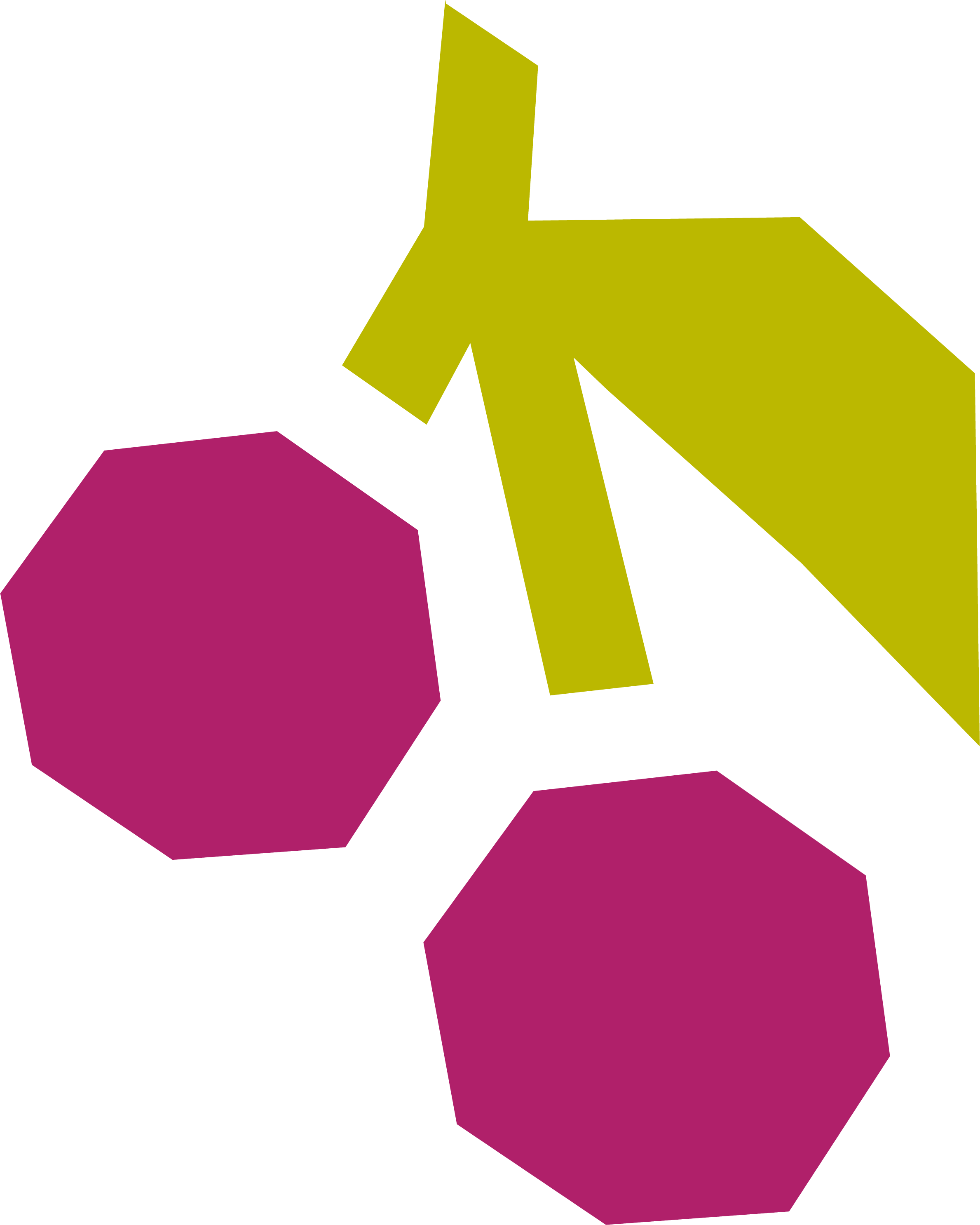 Illustration of multiple geometric shapes in contrasting colors, that depict a st. lucie cherry