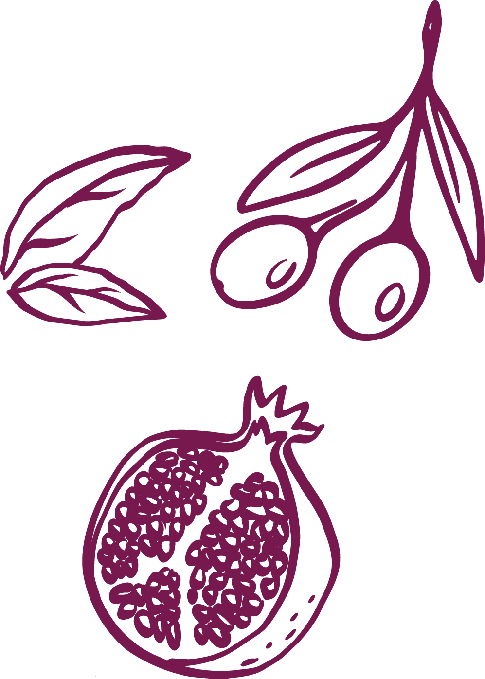 Illustration of pomegranate fruit, seeds inside, and leaves with branches.